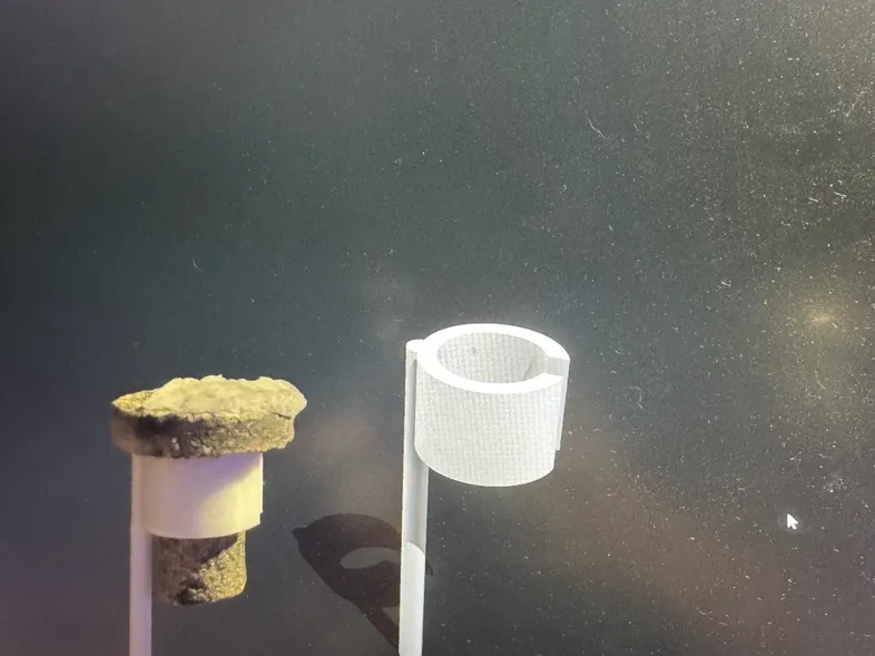 Coral Frag Stick