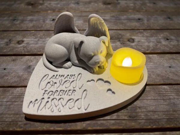 https://makerworld.bblmw.com/makerworld/model/USad589ef190a4e7/design/2025-12-15_cb846f5bdb9458.jpg