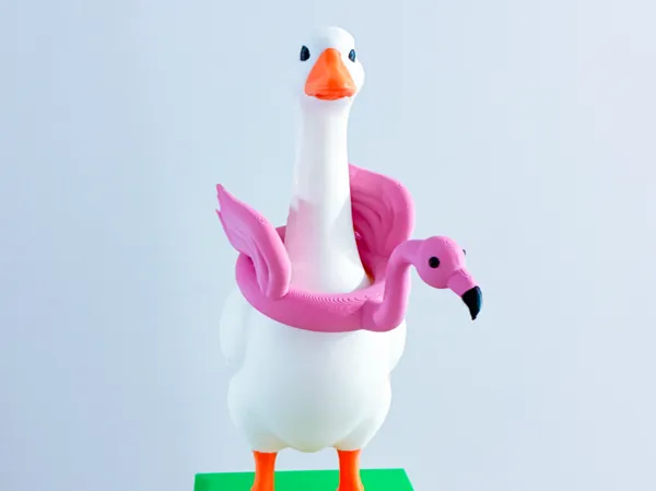 https://makerworld.bblmw.com/makerworld/model/USad5910544e9799/design/cc23e0d4350dd398.jpg