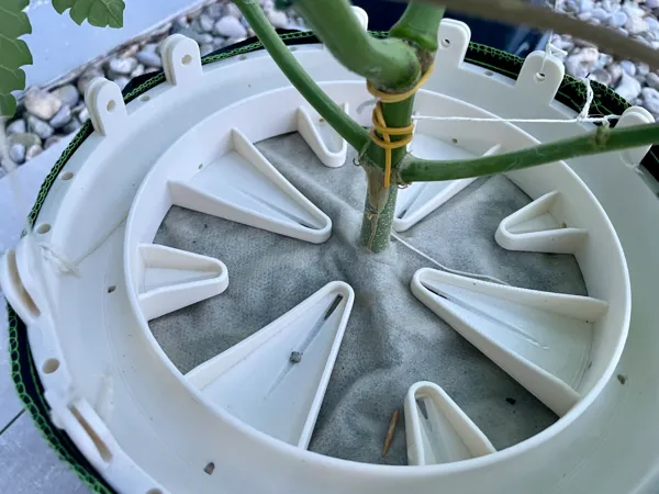 https://makerworld.bblmw.com/makerworld/model/USad5ee4394dea27/design/2024-07-27_2f737caecf7a6.jpg
