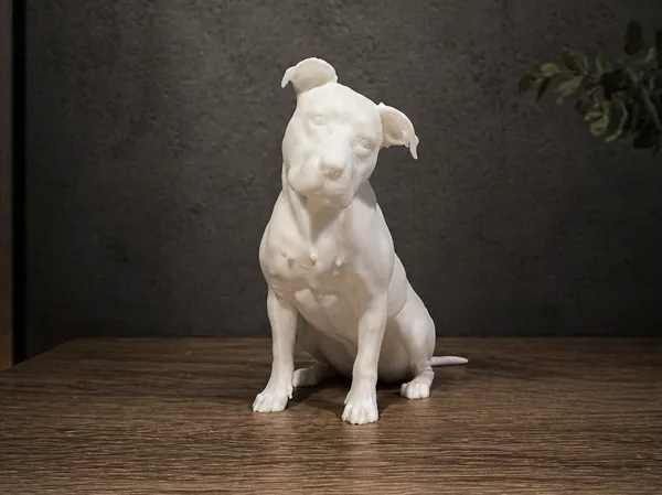 https://makerworld.bblmw.com/makerworld/model/USad62501a77ec59/design/fe9b468c8fd83ad9.png