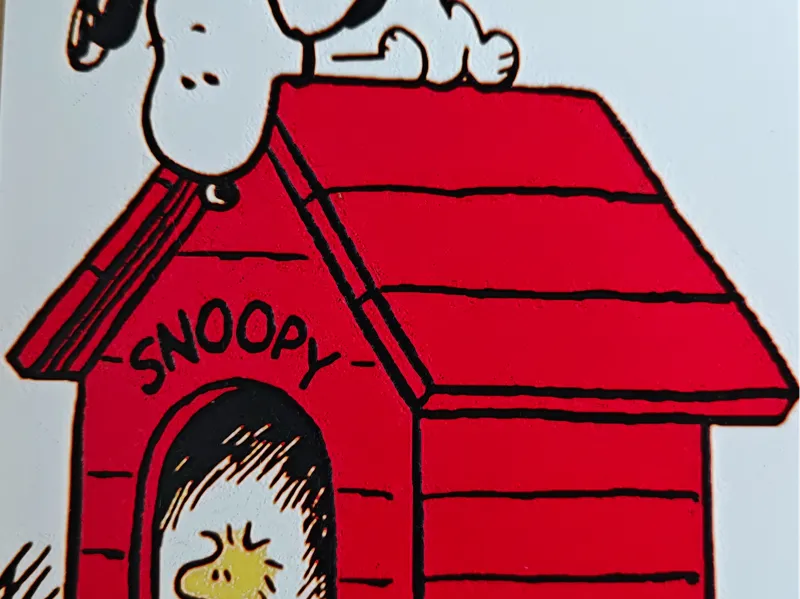 Snoopy auf seiner Hndehütte