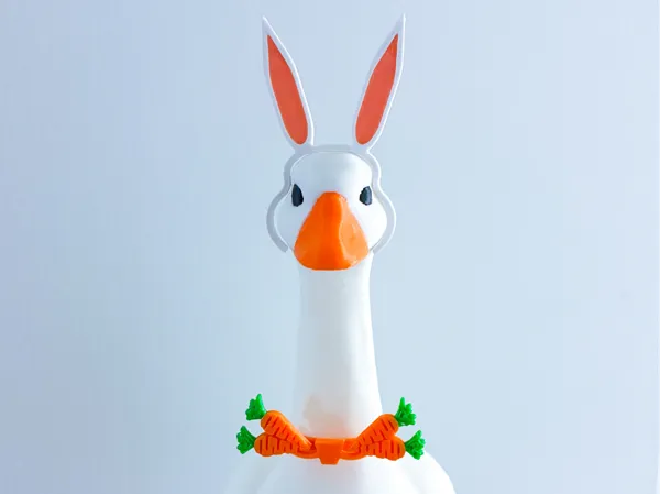 https://makerworld.bblmw.com/makerworld/model/USad63e253577b65/design/c3279f449c17a93d.jpg
