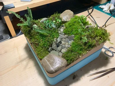MIni moss garden