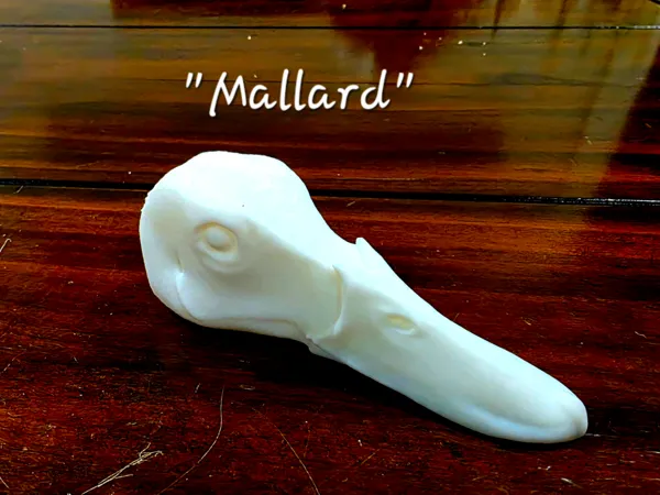 https://makerworld.bblmw.com/makerworld/model/USad65f72029f33b/design/025b8b815331ed69.jpg