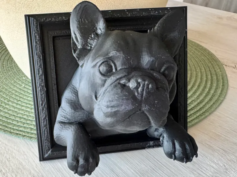 Bulldog Francese