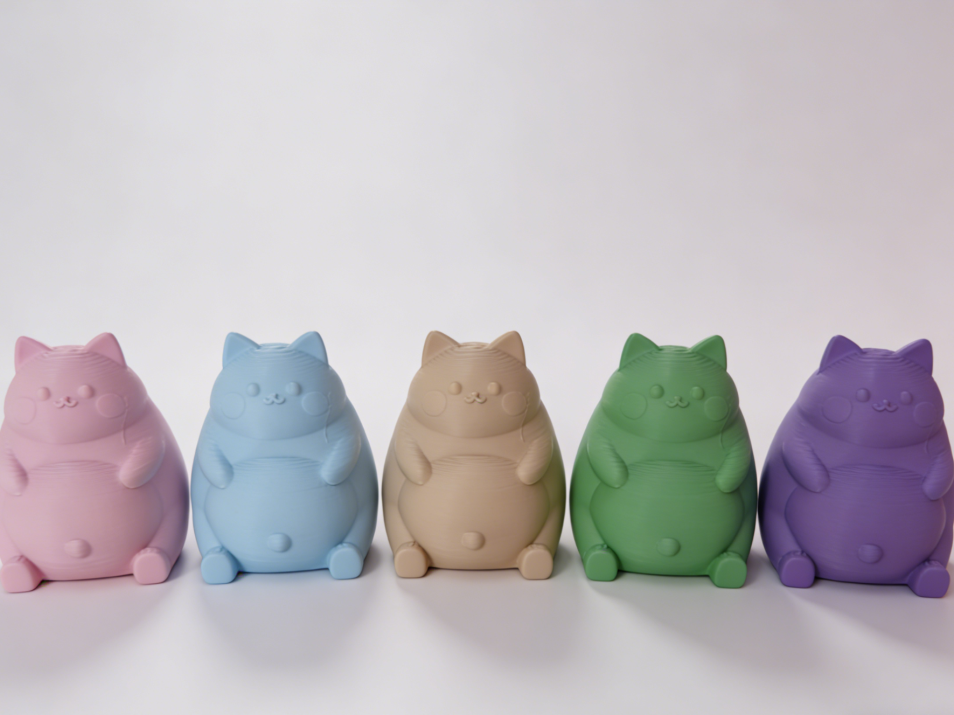 Mini cute chubby cat