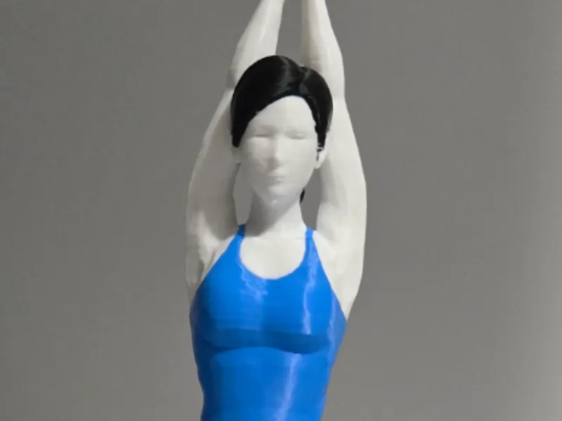 Wii Fit Trainer - Full Color