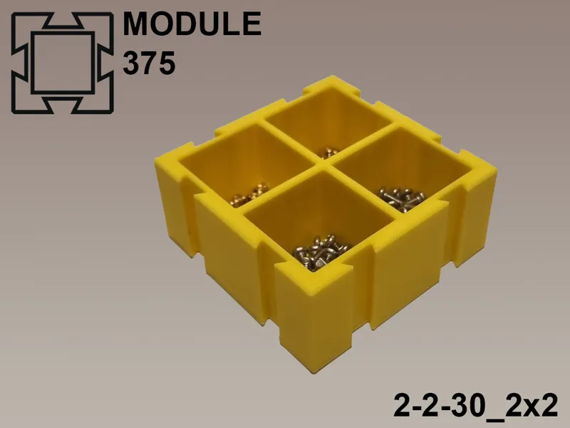 Module375 | 2-2-30_2x2