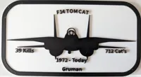 Hommage au chasseur F-14 Tomcat — photo 2