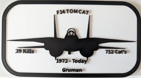 Hommage au chasseur F-14 Tomcat