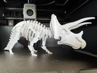 Triceratops Dinosaur Skeleton Puzzle
