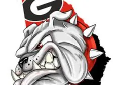 GA BULLDOGS WALL ART