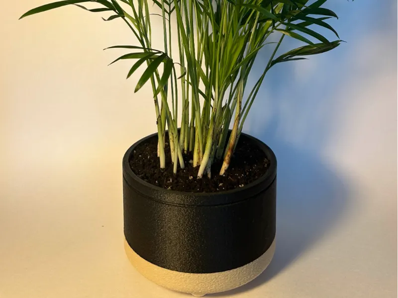 Sleek Modern Plant Pot