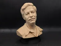0.08mm layer, 2 walls, 10% infill