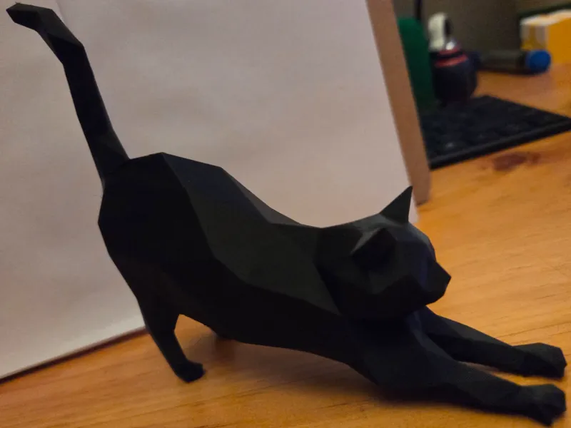 Polygon Cat