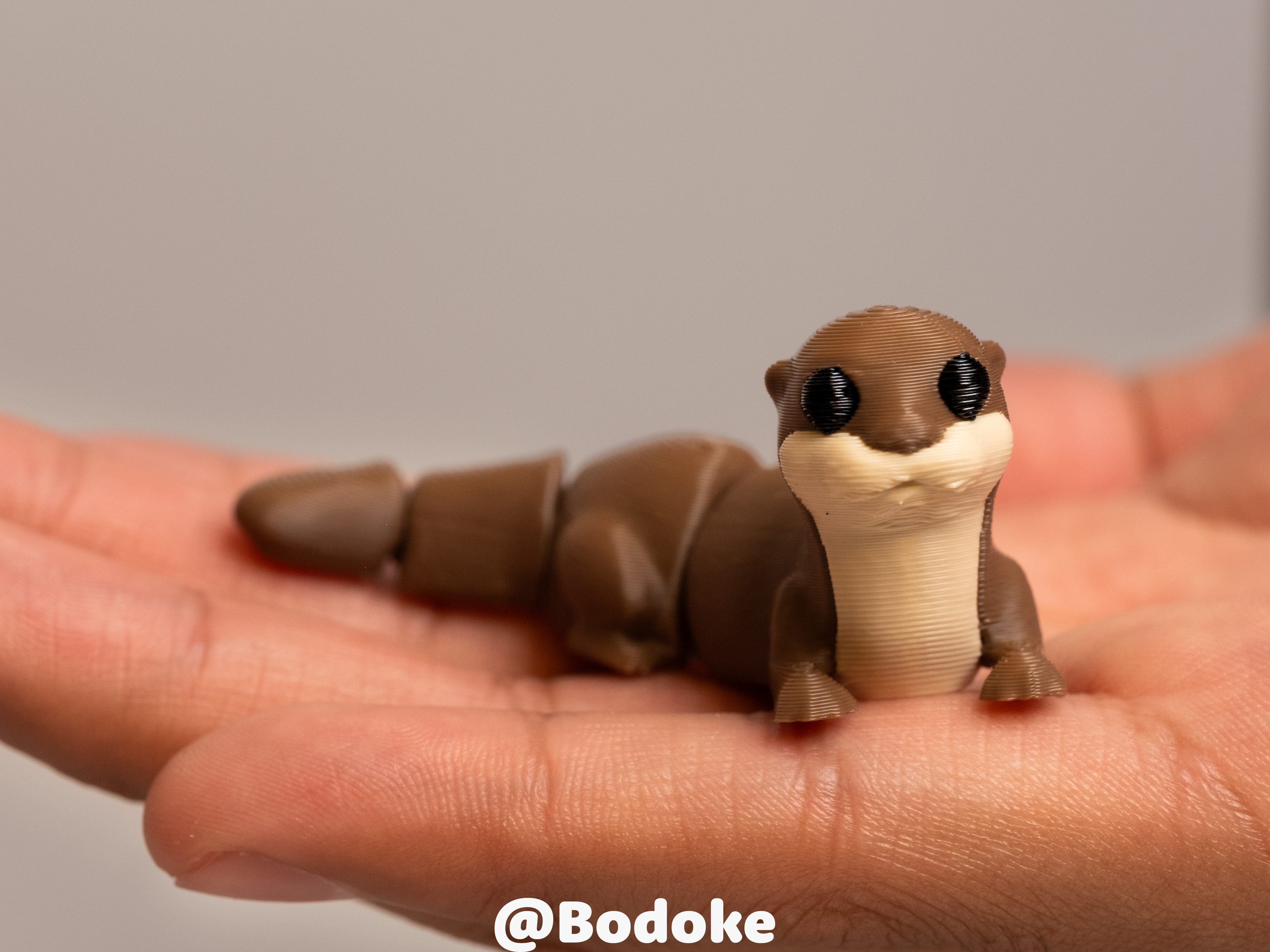 Flexi Otter - Articulated - 1