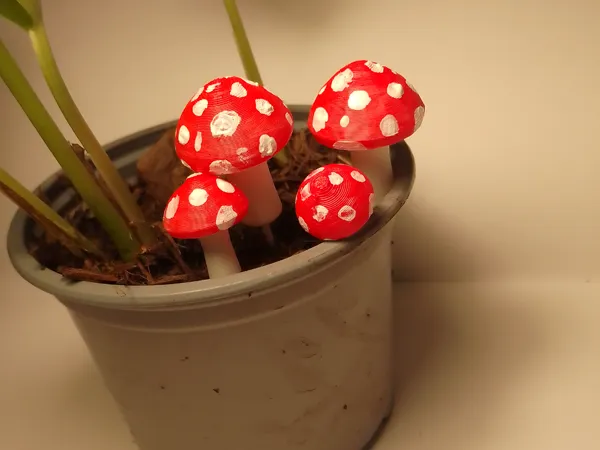 https://makerworld.bblmw.com/makerworld/model/USad9be139cfc3cc/design/2025-01-05_07c9dac5908a.jpg