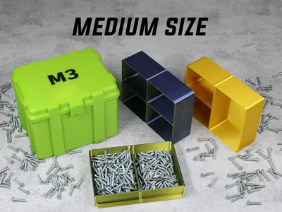 Compartment organizer box