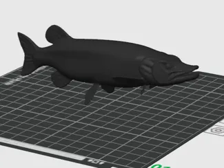 musky 3d model