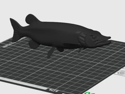 musky 3d model