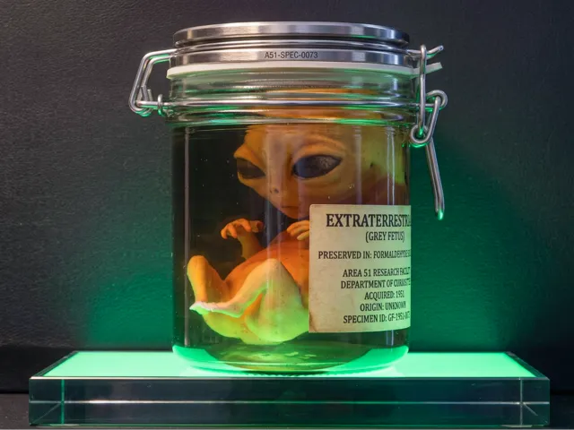 Alien embrio (Fetus) "Area 51 Specimen"