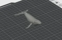 Raw Model For Custom Scaling
