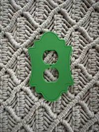 Duplex Outlet - Single and Dual Colors