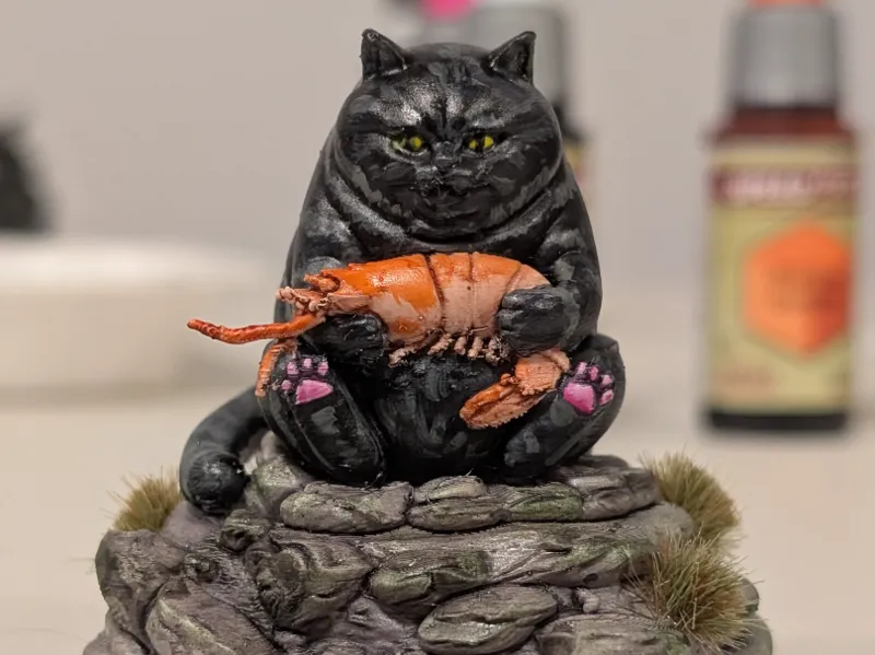 Shrimp Cat