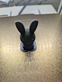 10mm outer brim, 0.12mm layer, 2 walls, 10% infill