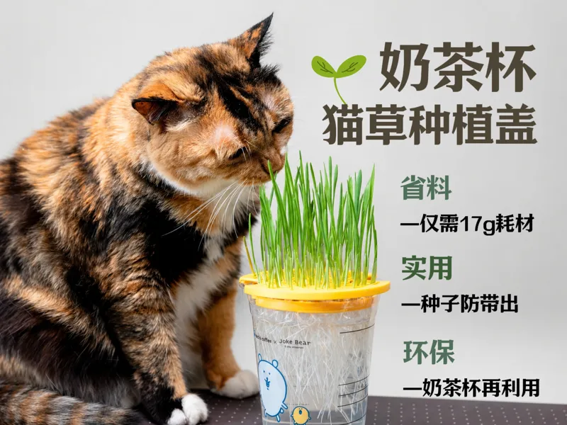 猫草种植盖：适配98口径奶茶杯