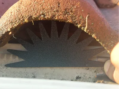 Bird roof protection