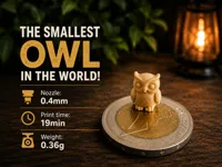 0.08mm layer, 2 walls, 15% infill