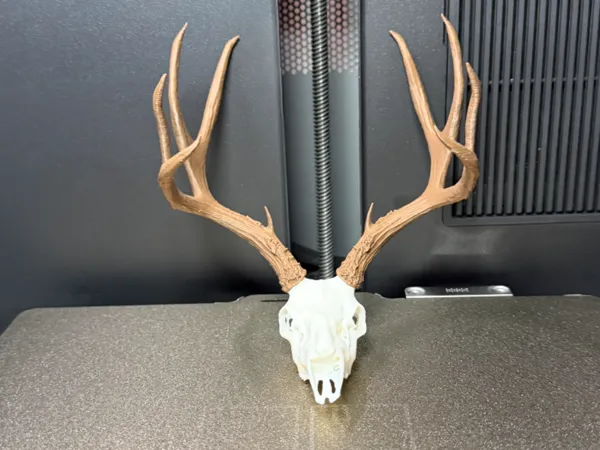 https://makerworld.bblmw.com/makerworld/model/USadc26ffba677ca/design/05bed6ca1690fcf1.jpg
