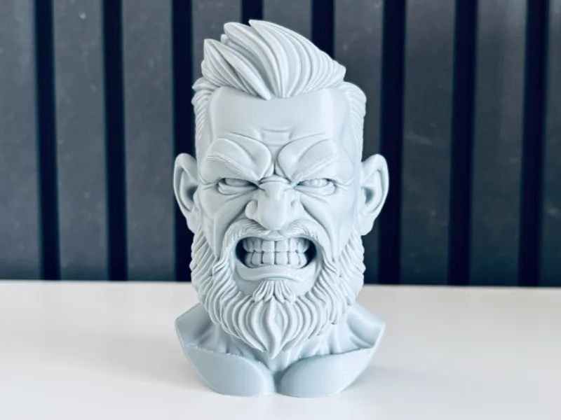 Conor McGregor - Bust Sculpture
