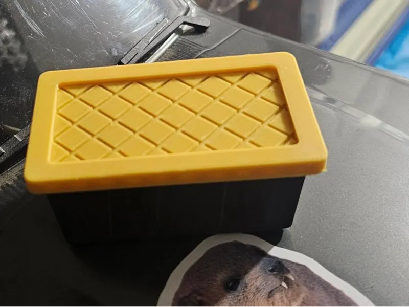 Storage Bin Everyone Takes Camping