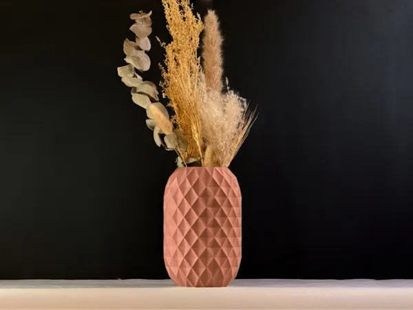 https://makerworld.bblmw.com/makerworld/model/USadc66541dca219/design/2025-01-21_fe3aee71b76728.jpeg
