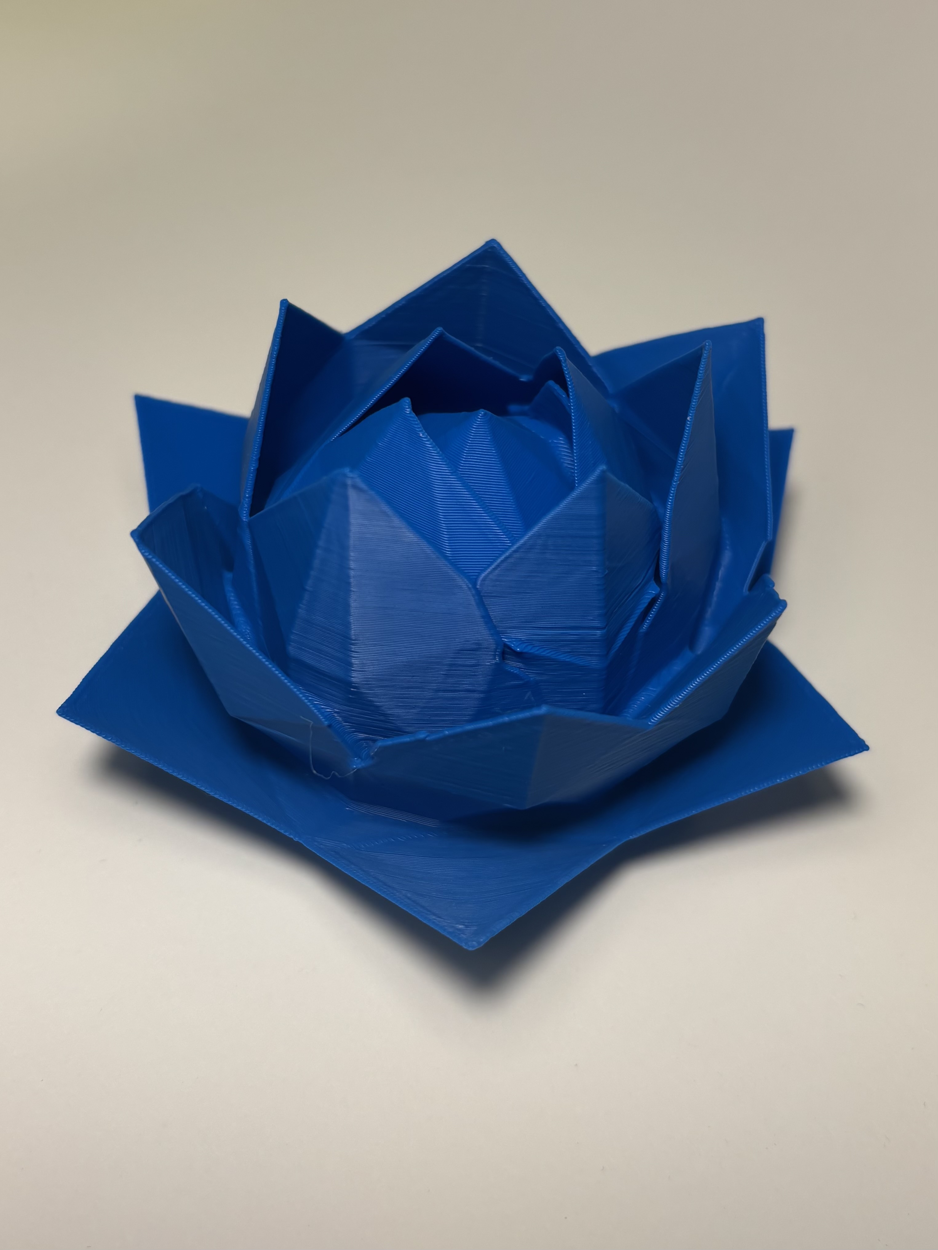Miniatura 2 do modelo 3D 陶瓷花拾贰