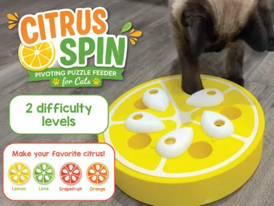 Citrus Spin — Pivoting Puzzle Feeder for Cats