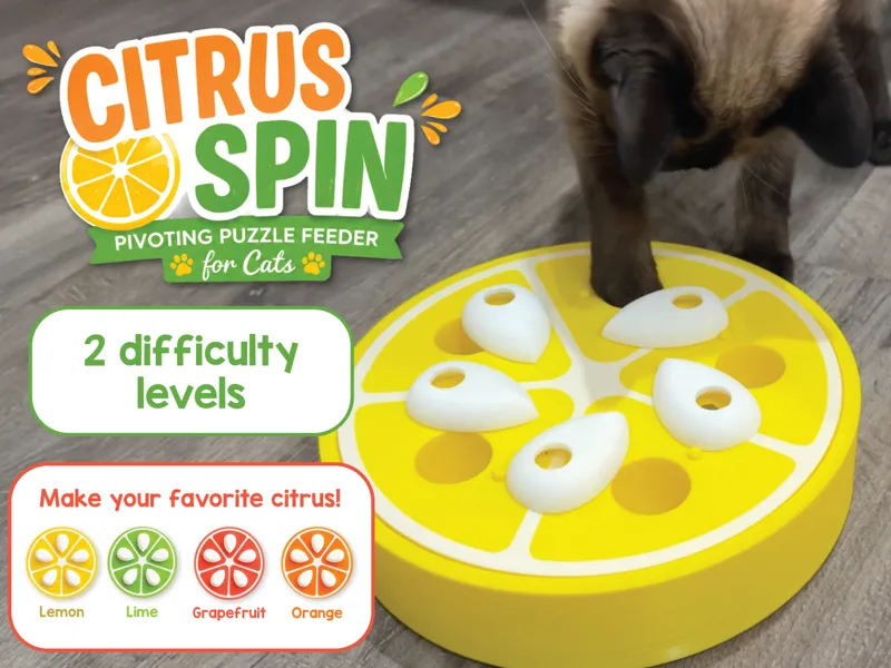 Citrus Spin — Pivoting Puzzle Feeder for Cats