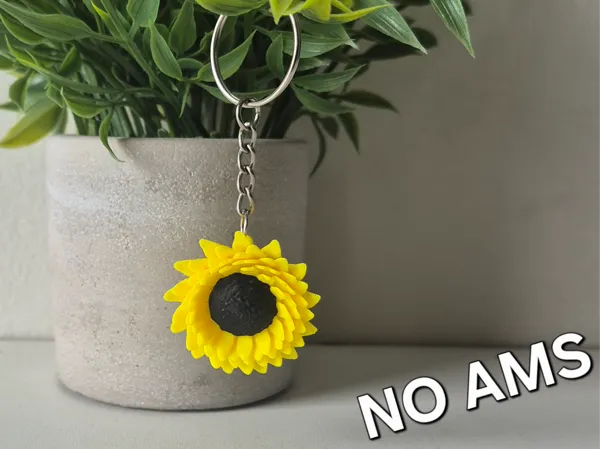 https://makerworld.bblmw.com/makerworld/model/USaddb1b49ec134a/design/2025-06-29_60b93c93bac0e8.jpg