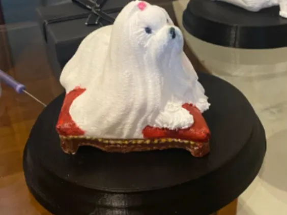 Maltese dog
