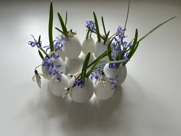 https://makerworld.bblmw.com/makerworld/model/USadde572212497b/design/2025-03-23_7c42e9ffe5cb98.jpg
