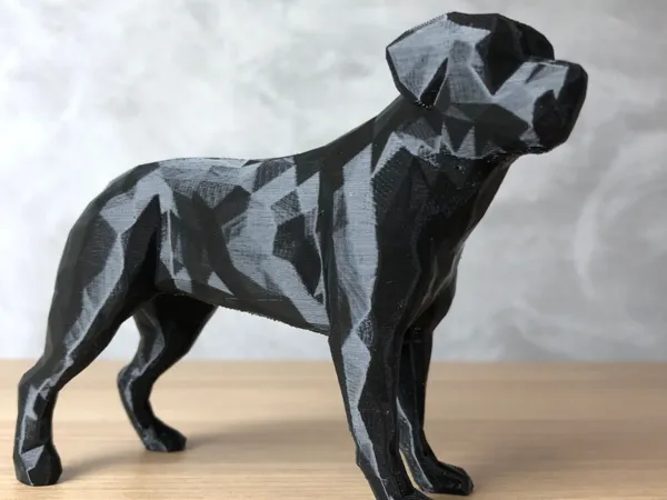 https://makerworld.bblmw.com/makerworld/model/USade2f928514a67/design/2025-03-11_4b61cc4acd8f3.jpg