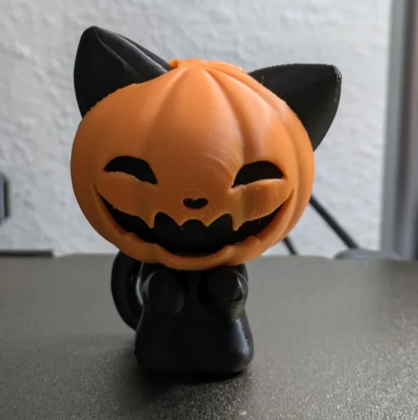 Pumpkin Cat