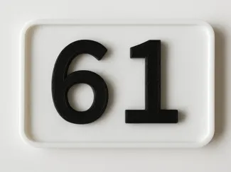 61 meme