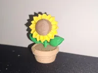 0.16mm layer, 2 walls, 10% infill