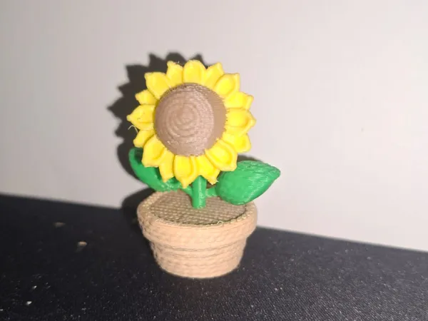 https://makerworld.bblmw.com/makerworld/model/USade8491036c282/design/8932efb69487218e.jpeg