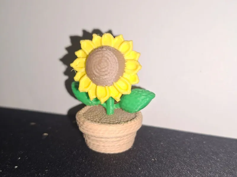 Girasole fatto a maglia
