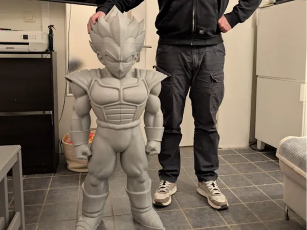 https://makerworld.bblmw.com/makerworld/model/USadeb0707f32a09/design/f4f796587e0d50cb.jpg